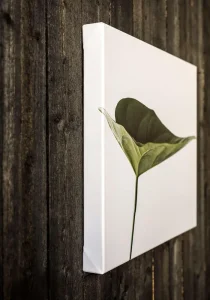 eaafda6a4d243f06d3f2e0da11d5a494_l